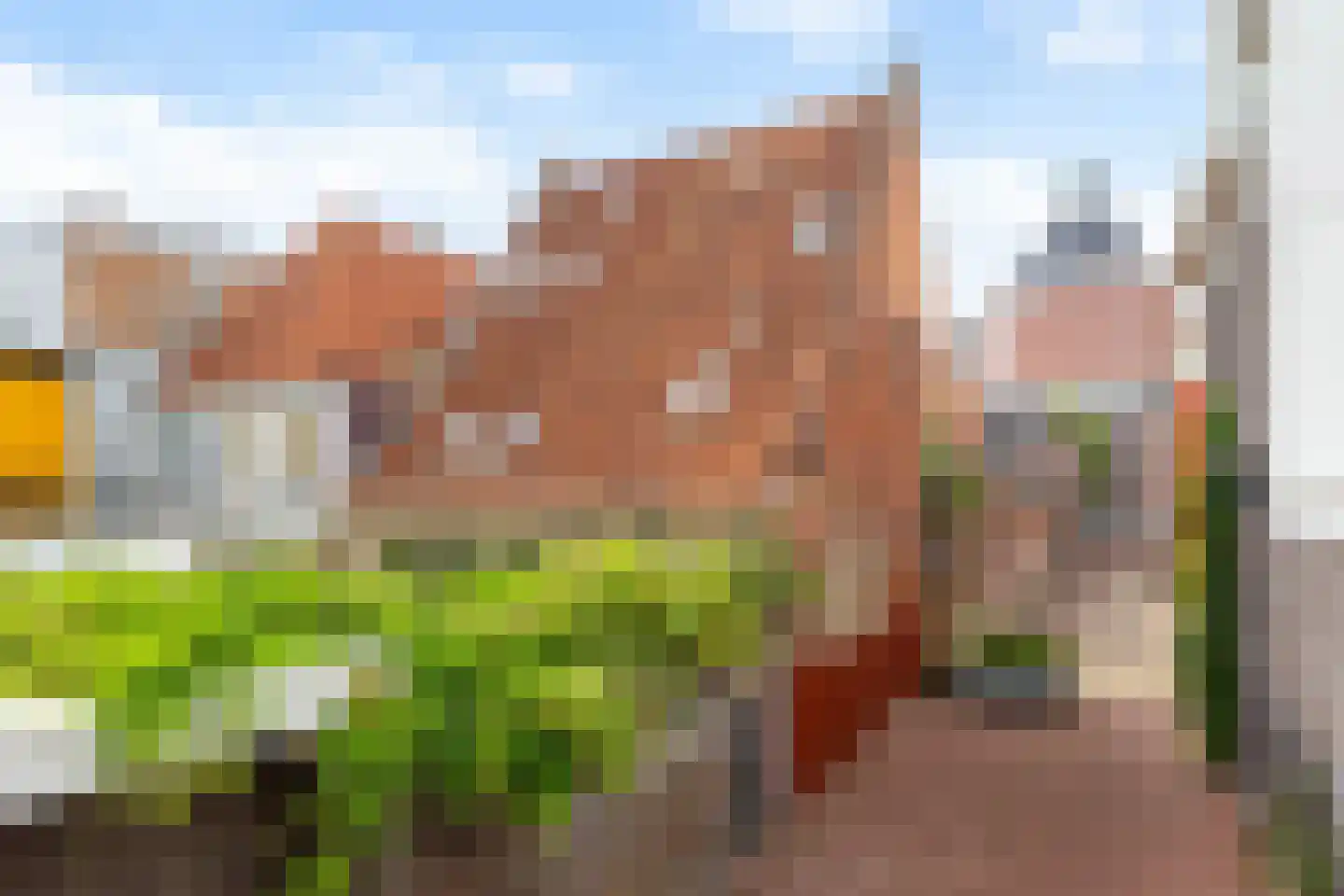 Kruisstraat 25 Leeuwarden thumbnail 9