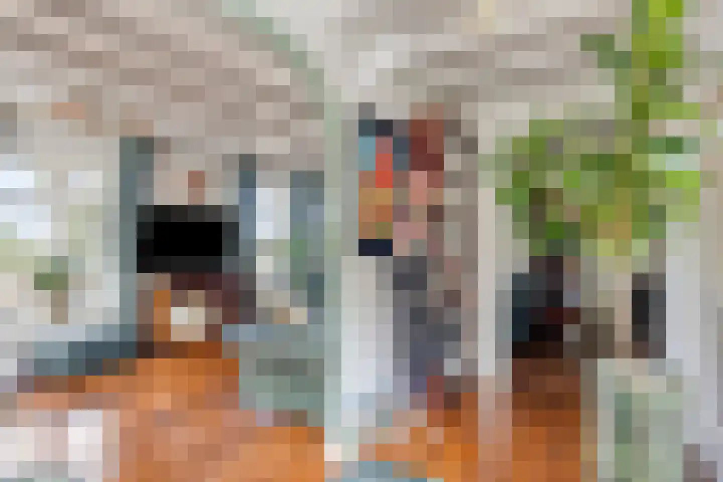 Kruisstraat 26 Rosmalen thumbnail 18
