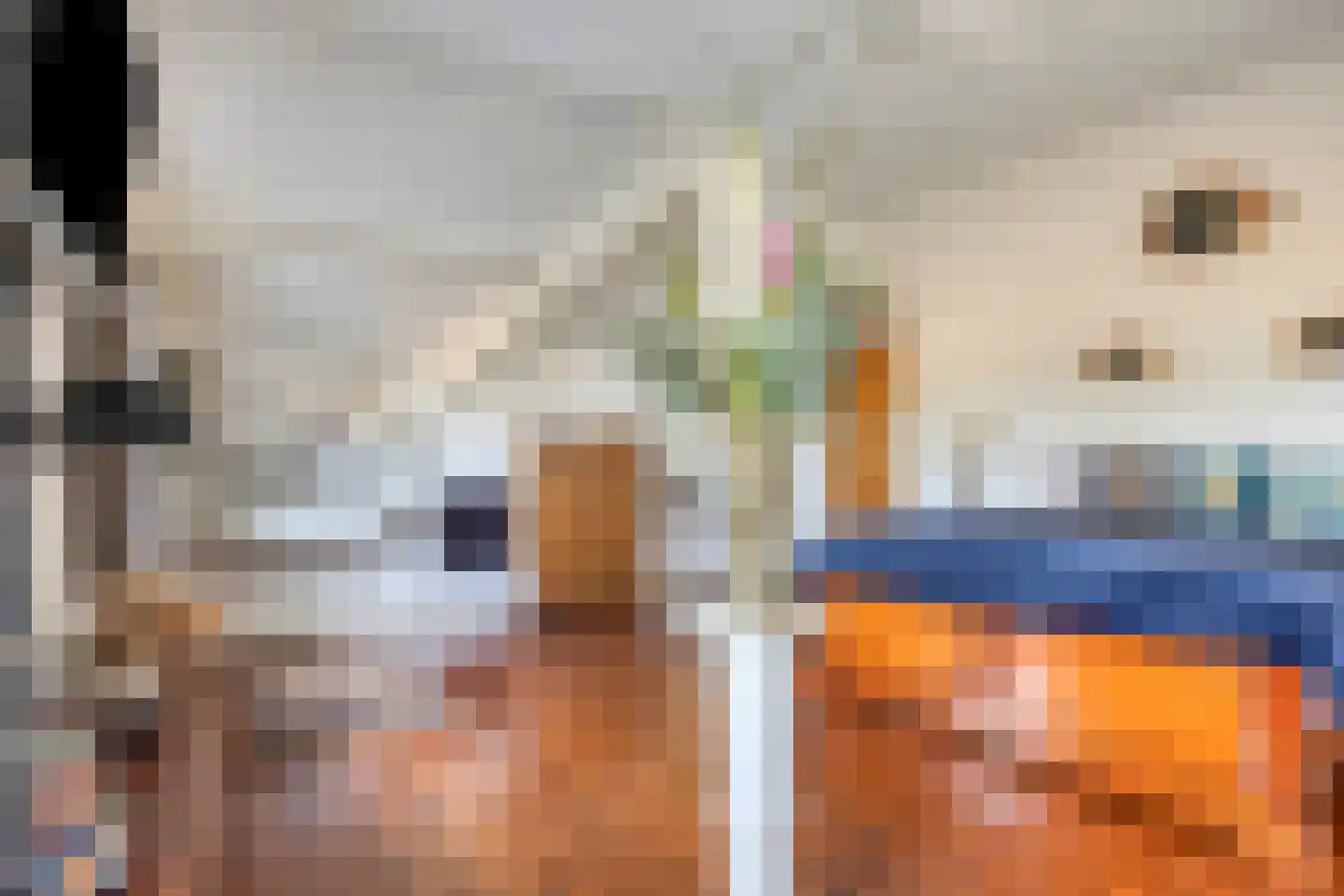 Kruisstraat 26 Rosmalen thumbnail 21