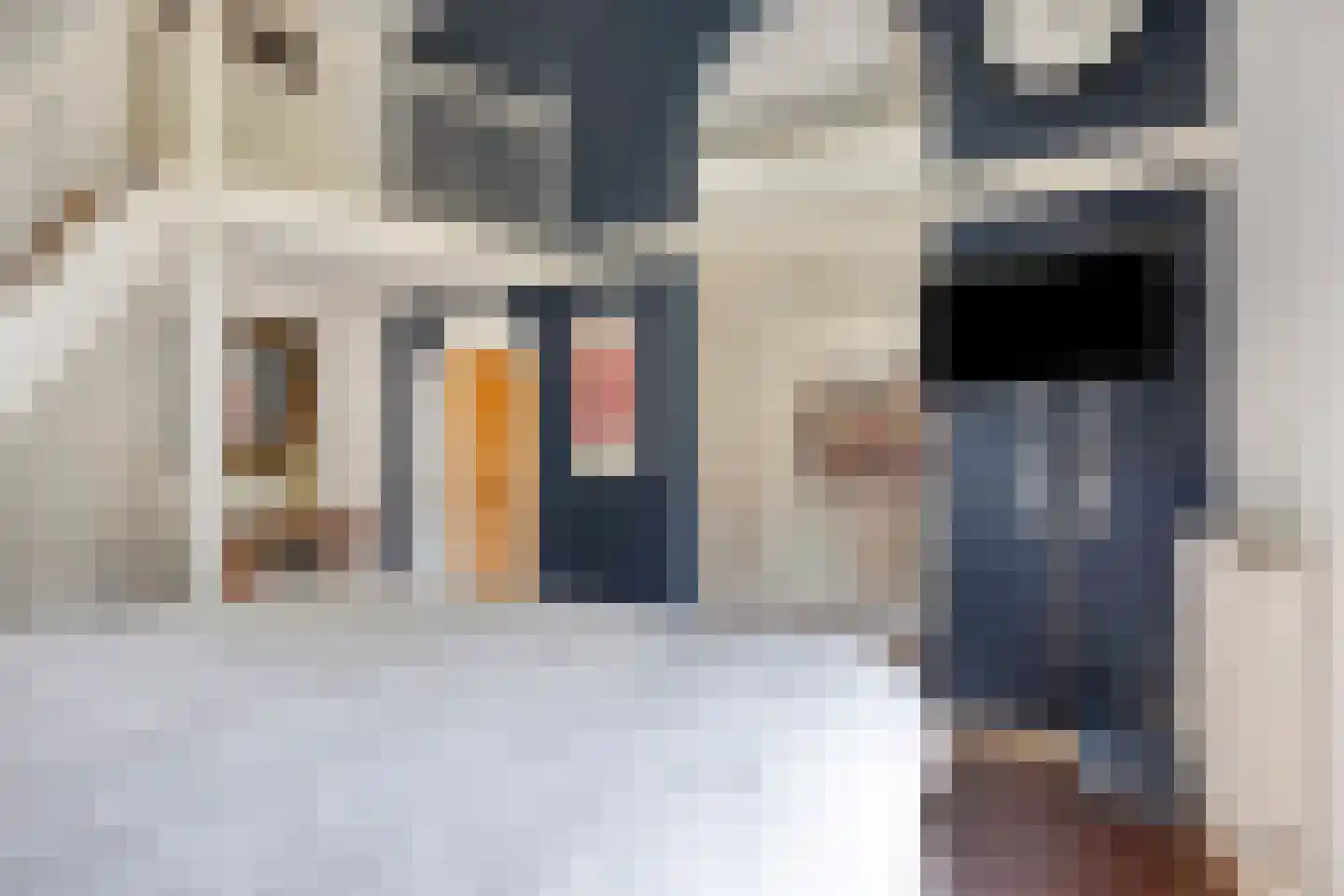 Kruisstraat 26 Rosmalen thumbnail 28