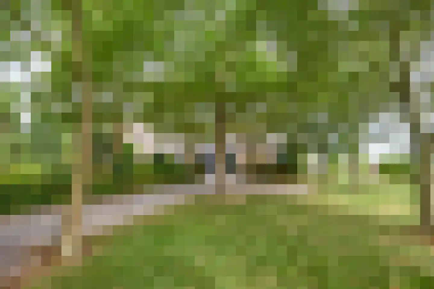 Kruisstraat 26 Rosmalen thumbnail 30