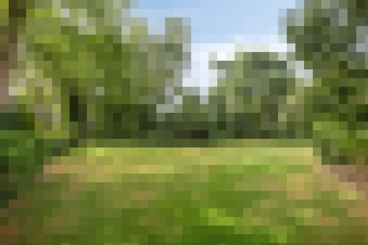 Kruisstraat 26 Rosmalen thumbnail 33