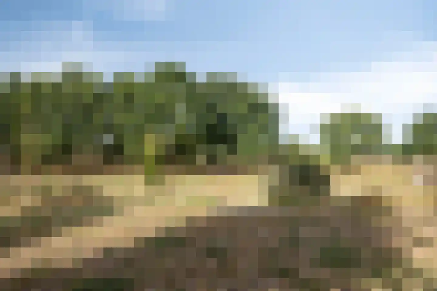 Kruisstraat 26 Rosmalen thumbnail 38