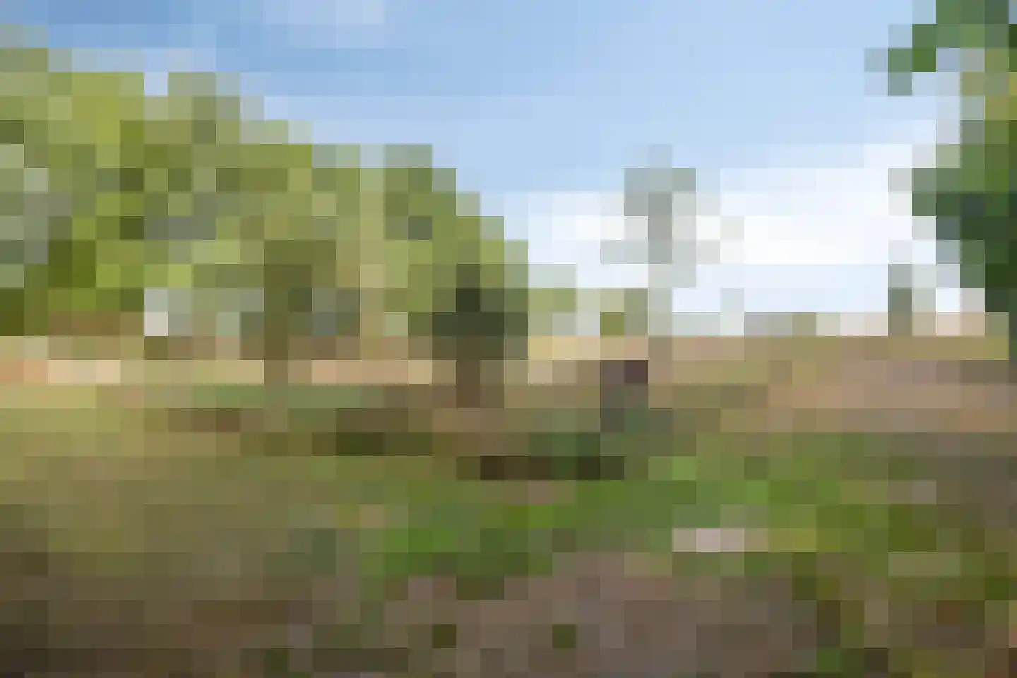 Kruisstraat 26 Rosmalen thumbnail 39