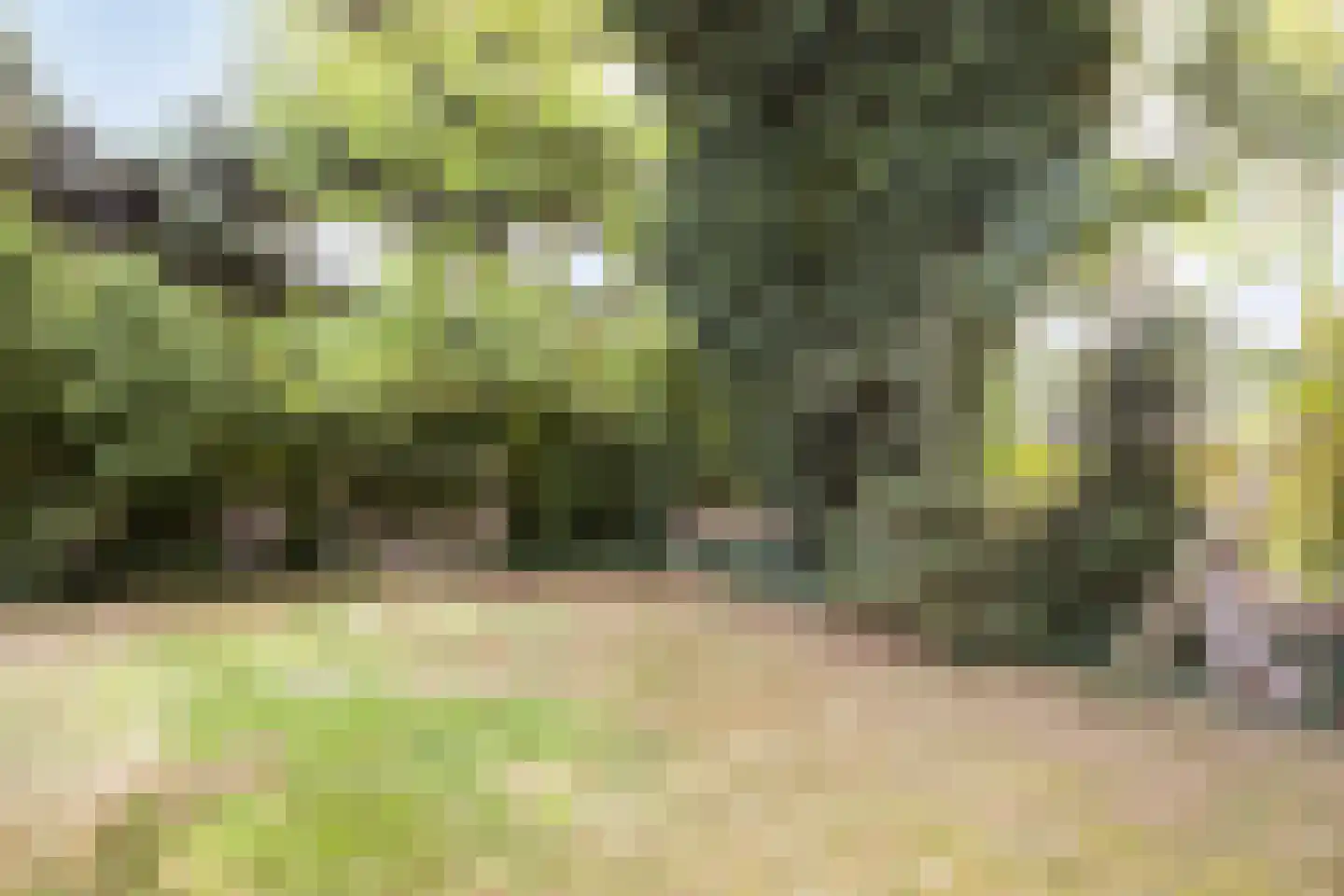 Kruisstraat 26 Rosmalen thumbnail 40