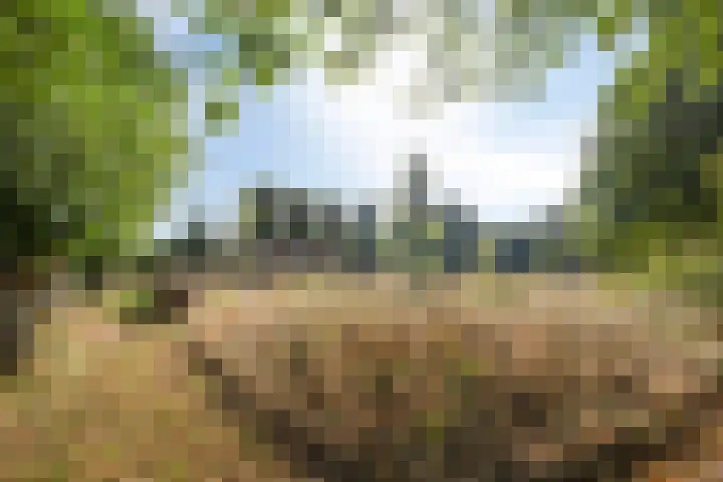 Kruisstraat 26 Rosmalen thumbnail 43