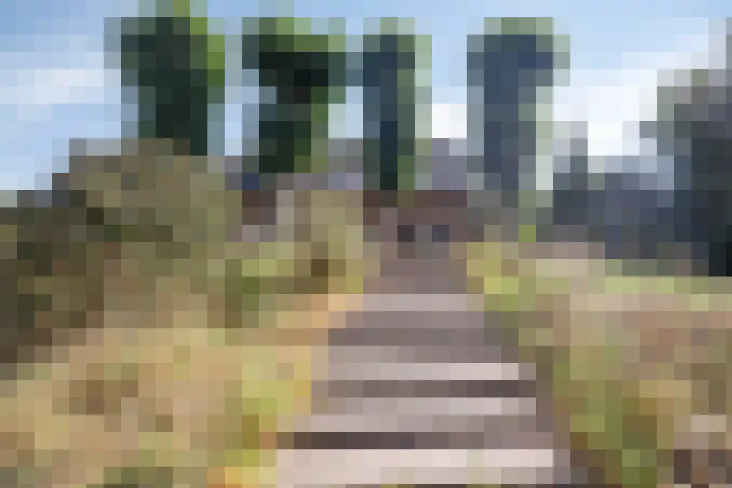 Kruisstraat 26 Rosmalen thumbnail 52