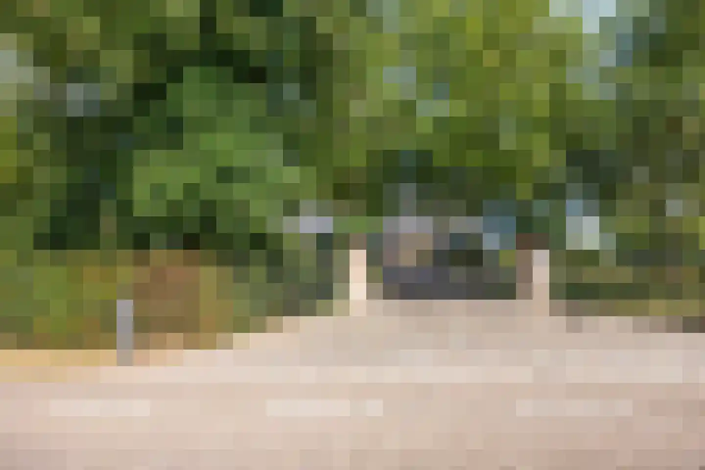 Kruisstraat 26 Rosmalen thumbnail 57