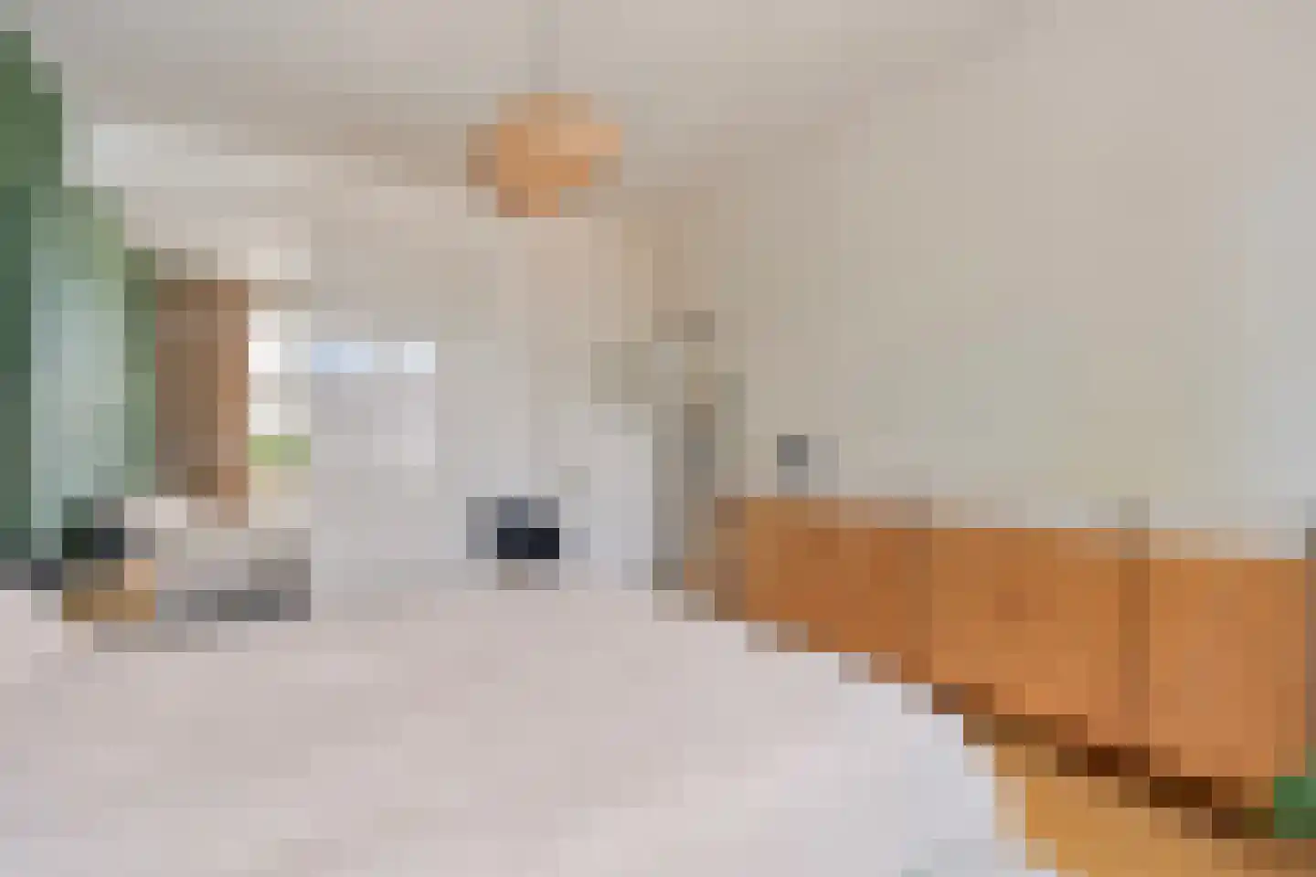 Kruisstraat 28 Heerlen thumbnail 17
