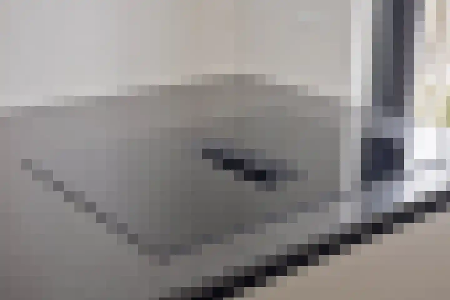 Kruisstraat 29 A Oss thumbnail 26
