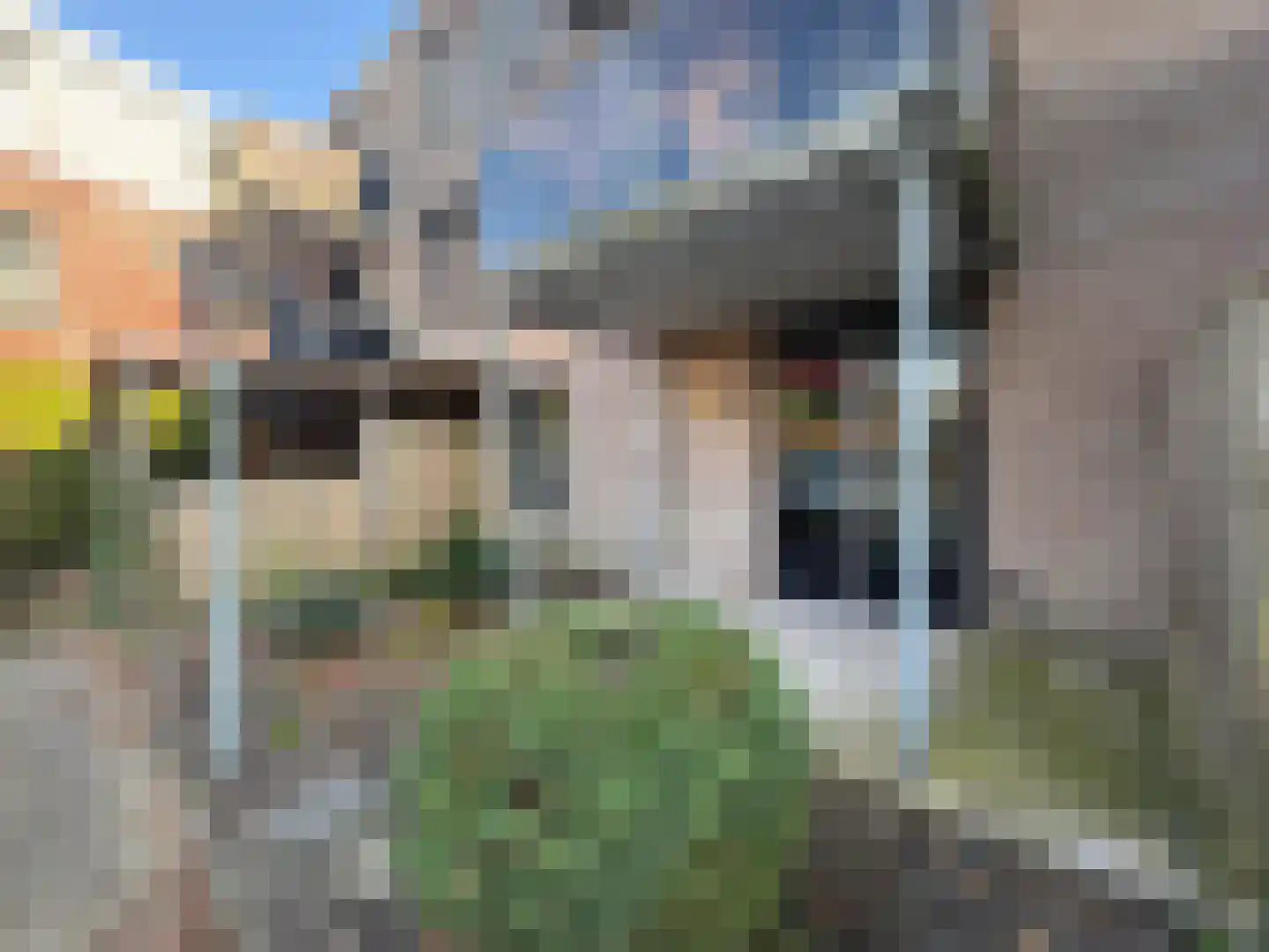 Kruisstraat 29 A Oss thumbnail 5