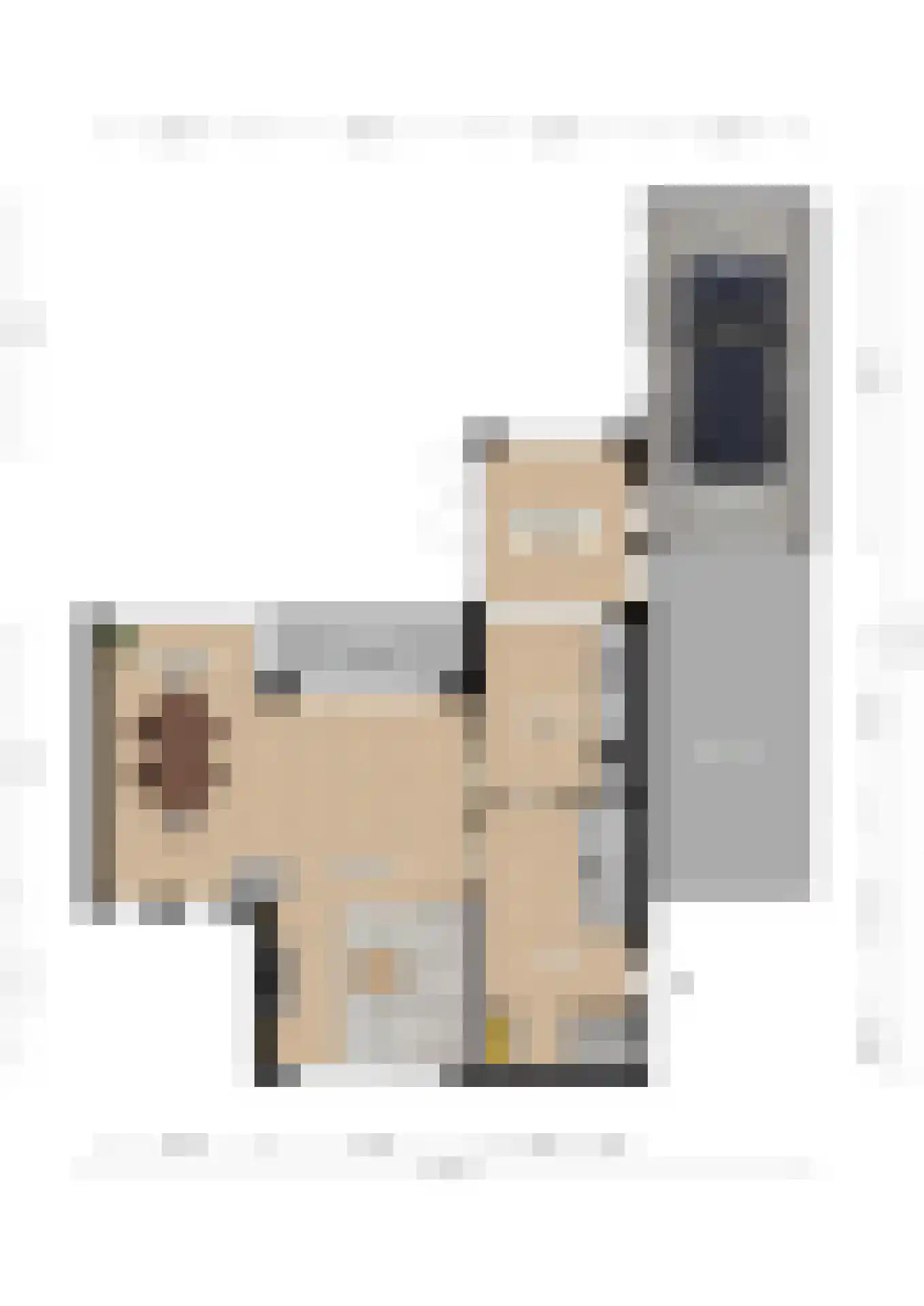 Kruisstraat 3 Bingelrade thumbnail 28