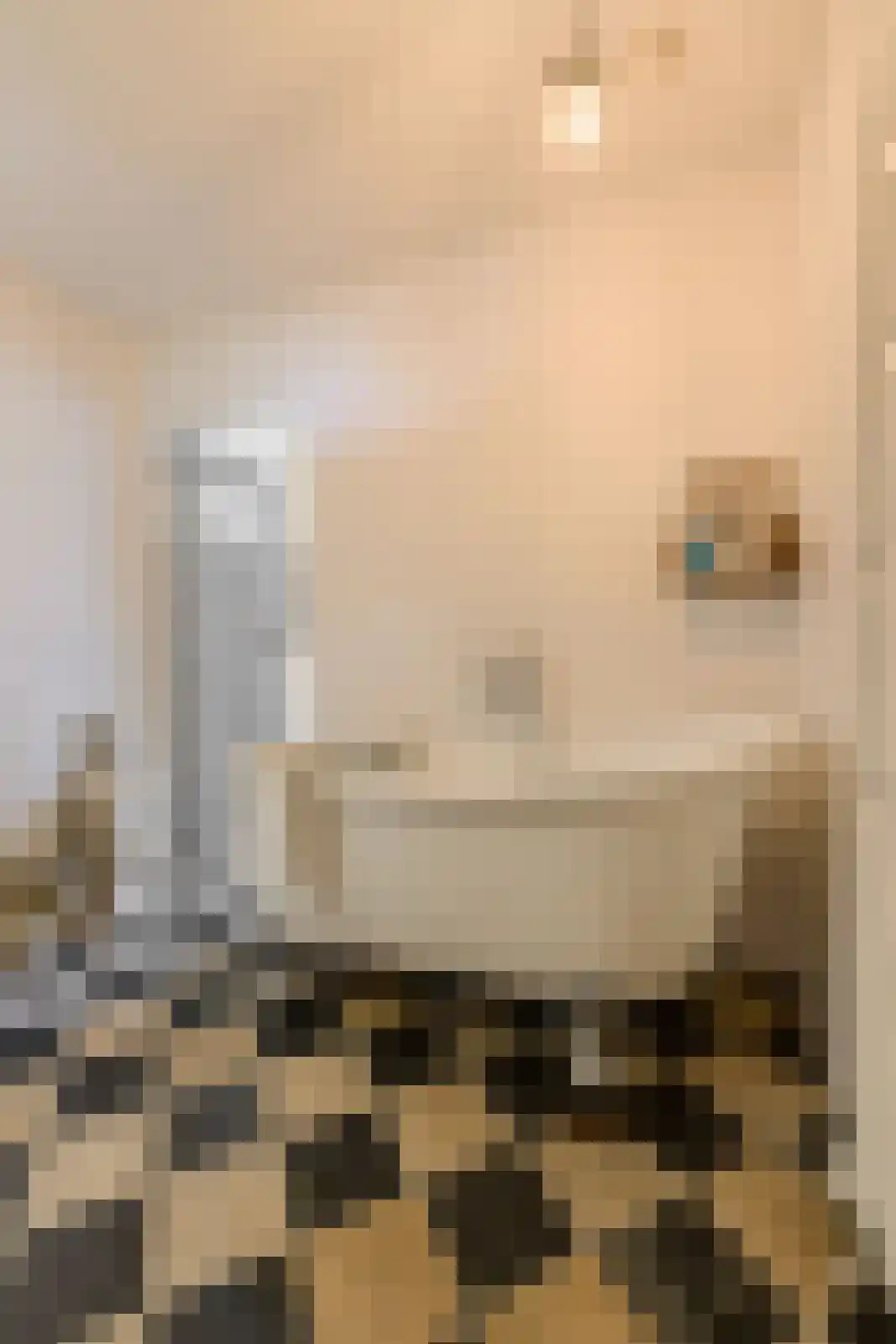 Kruisstraat 3 Oosterhout thumbnail 20