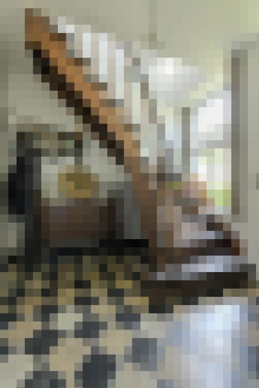 Kruisstraat 3 Oosterhout thumbnail 23