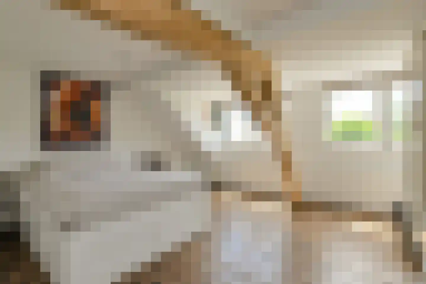 Kruisstraat 3 Oosterhout thumbnail 32