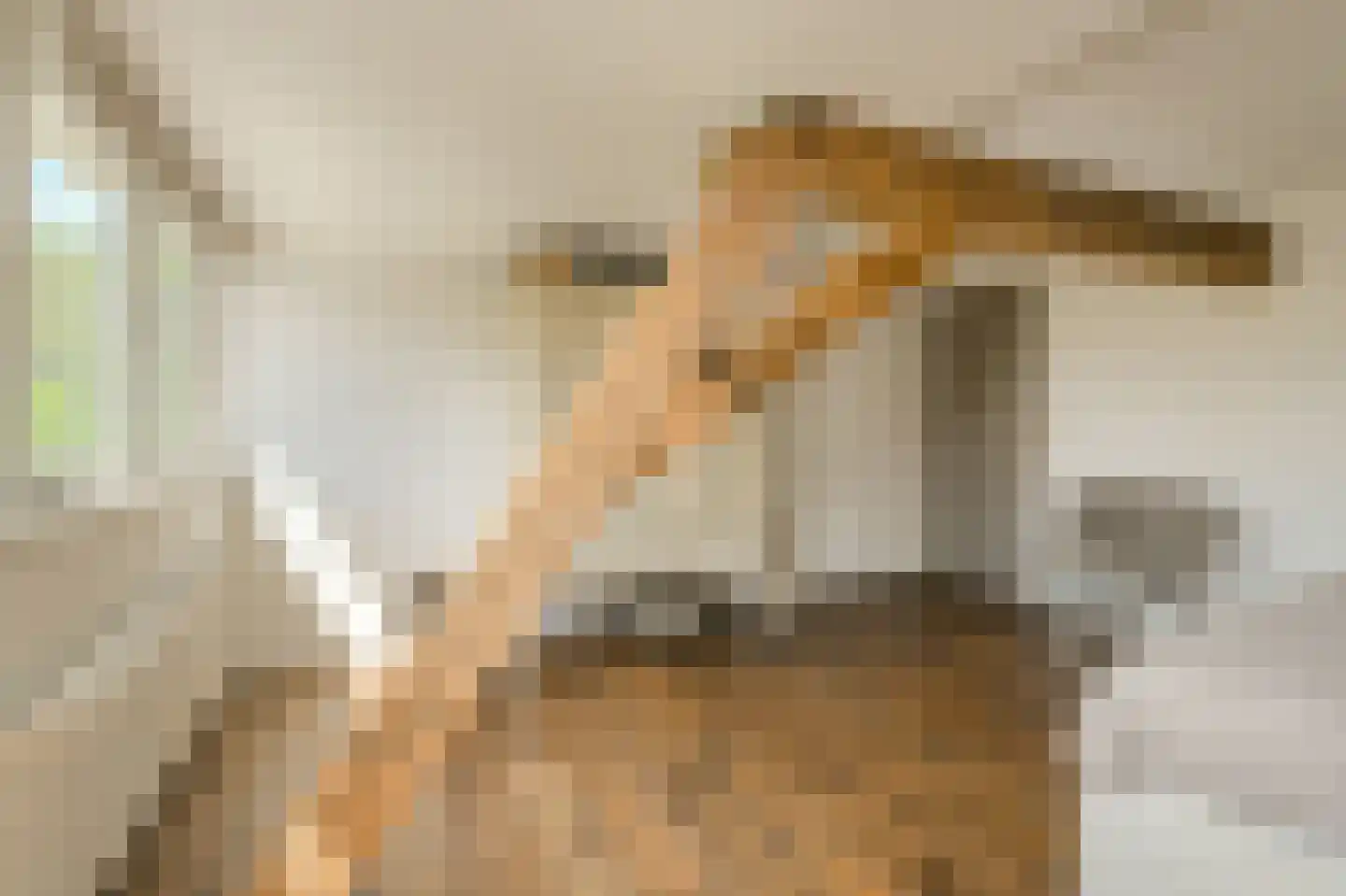 Kruisstraat 3 Oosterhout thumbnail 33