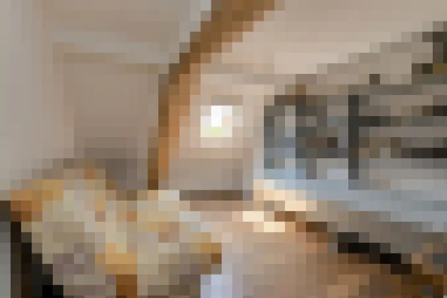 Kruisstraat 3 Oosterhout thumbnail 34