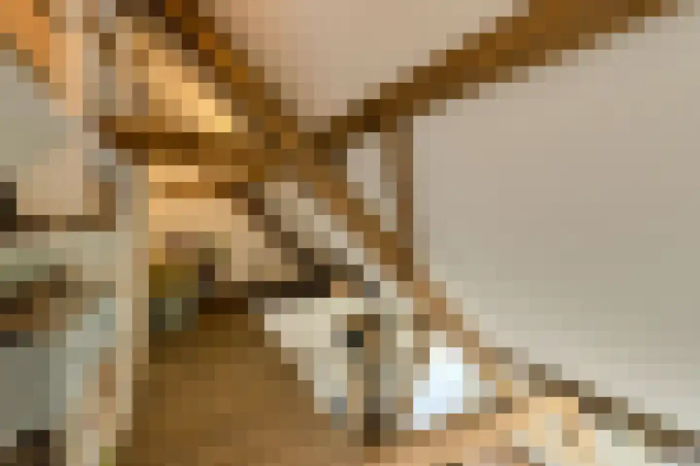 Kruisstraat 3 Oosterhout thumbnail 36