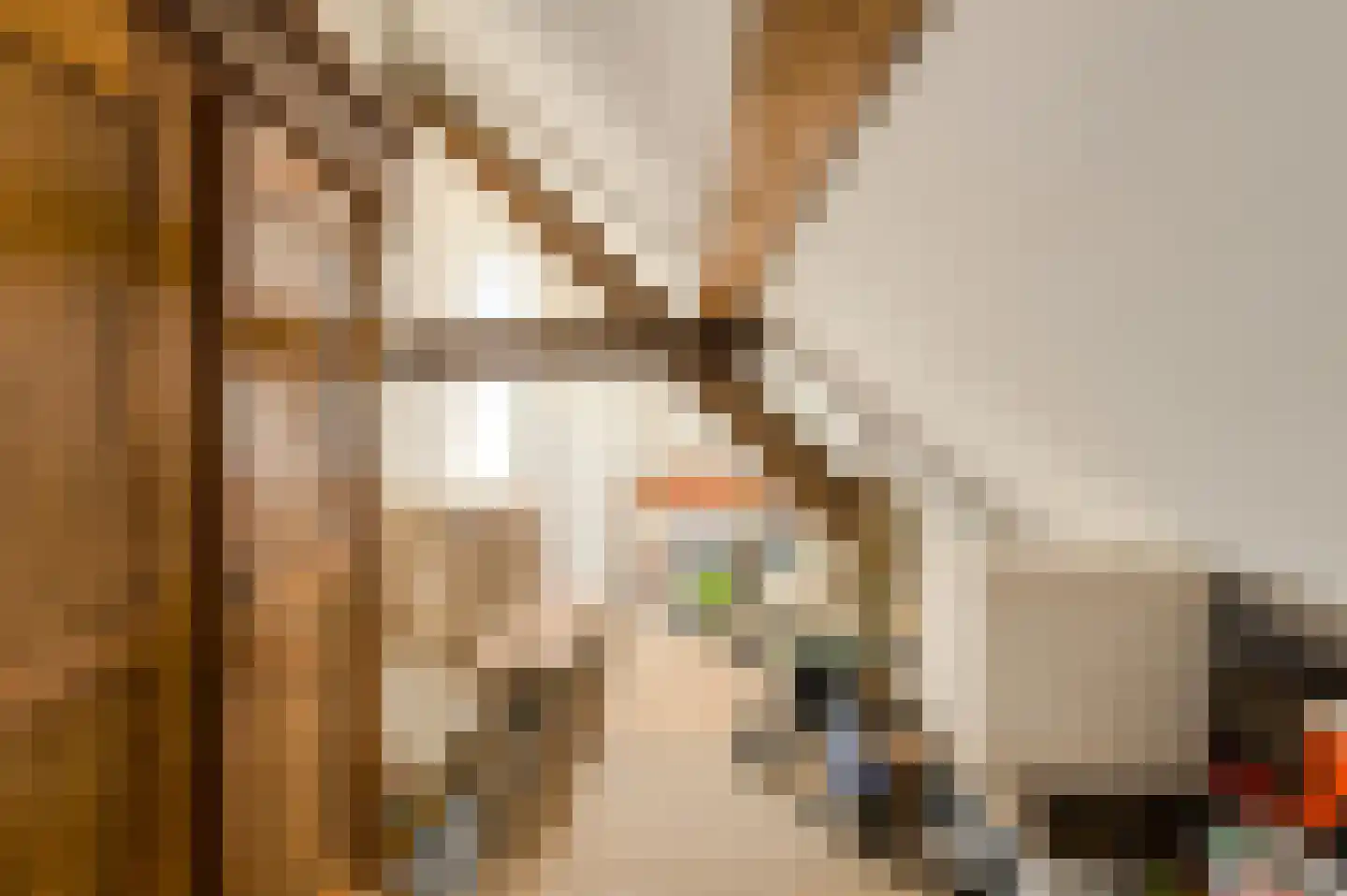 Kruisstraat 3 Oosterhout thumbnail 37