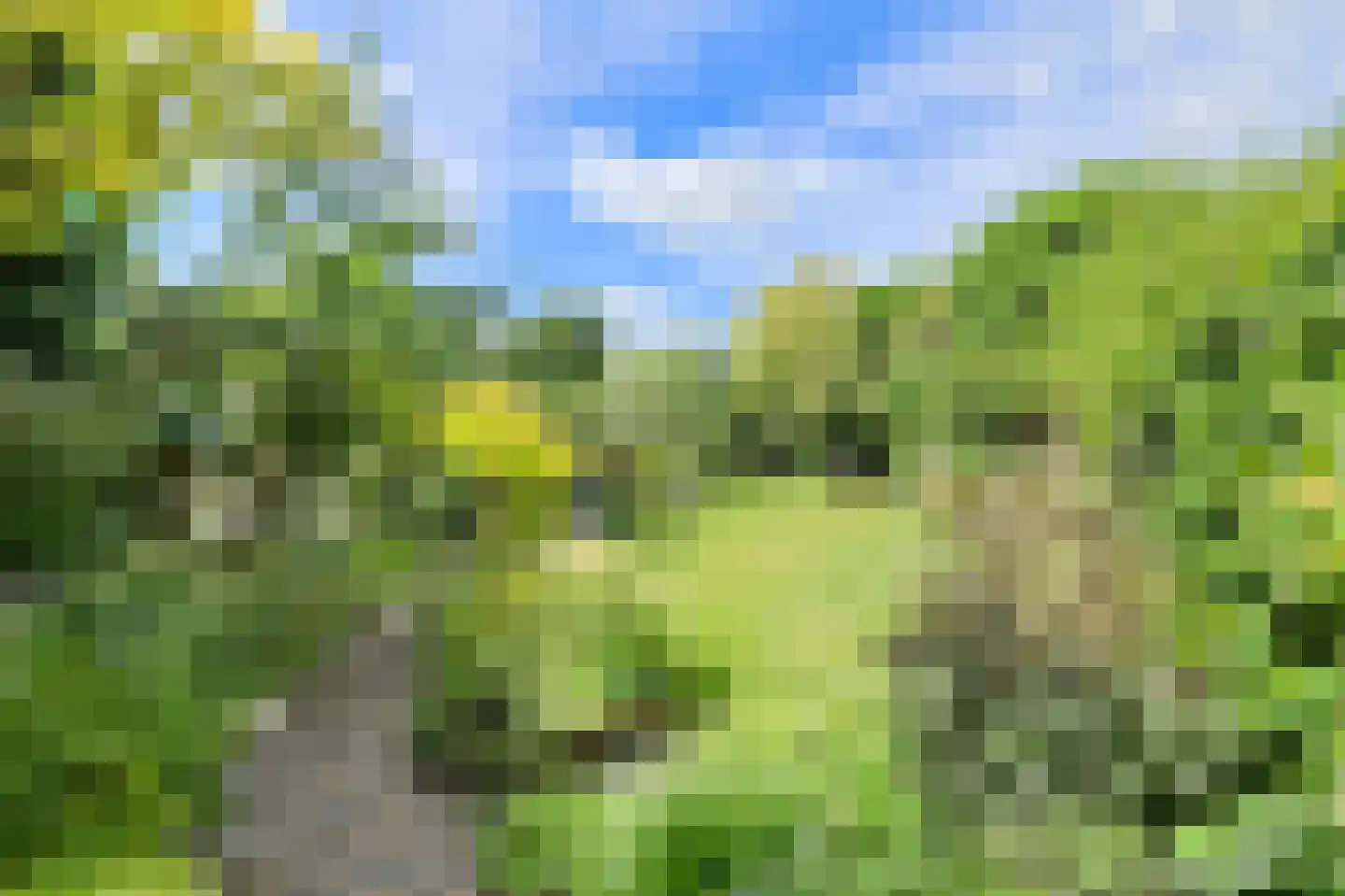 Kruisstraat 3 Oosterhout thumbnail 5