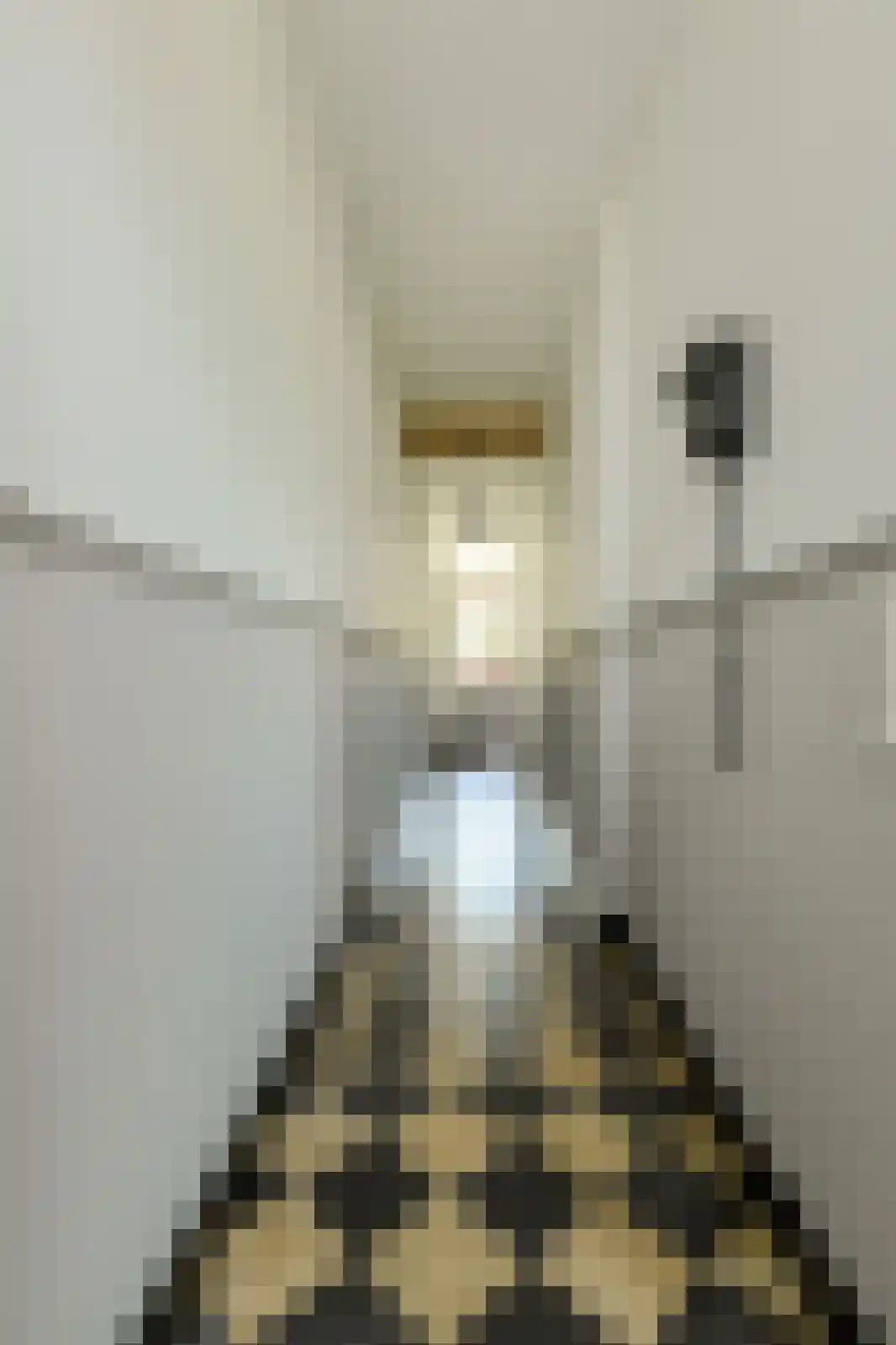 Kruisstraat 3 Oosterhout thumbnail 6