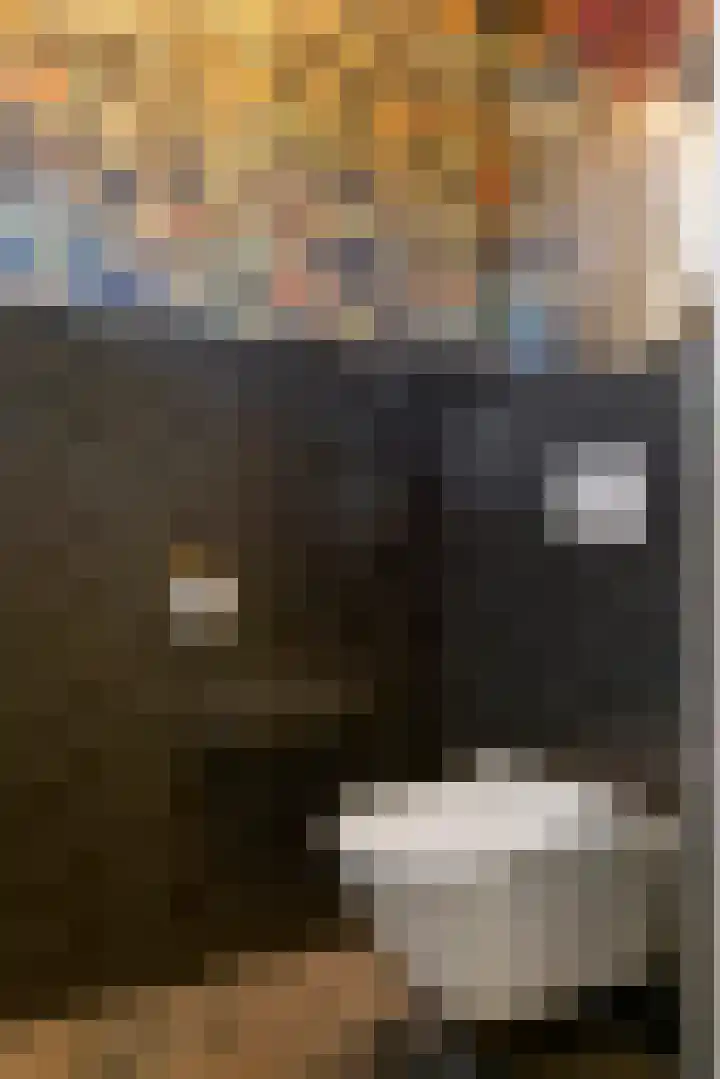 Kruisstraat 3 Tiel thumbnail 24