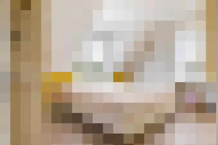 Kruisstraat 3 Tiel thumbnail 31