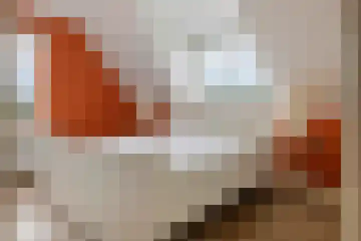 Kruisstraat 3 Tiel thumbnail 33