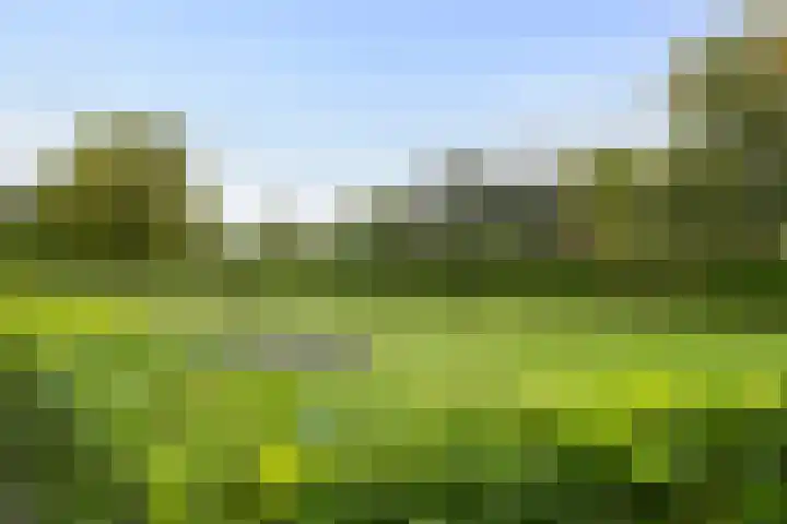 Kruisstraat 3 Tiel thumbnail 43