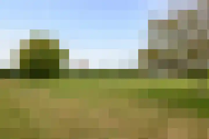 Kruisstraat 3 Tiel thumbnail 44