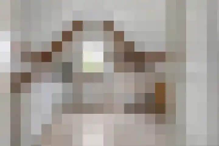 Kruisstraat 3 Tiel thumbnail 46