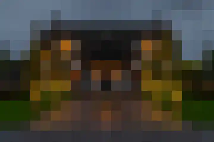 Kruisstraat 3 Tiel thumbnail 50