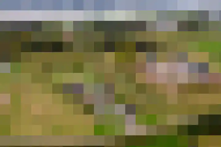 Kruisstraat 3 Tiel thumbnail 53