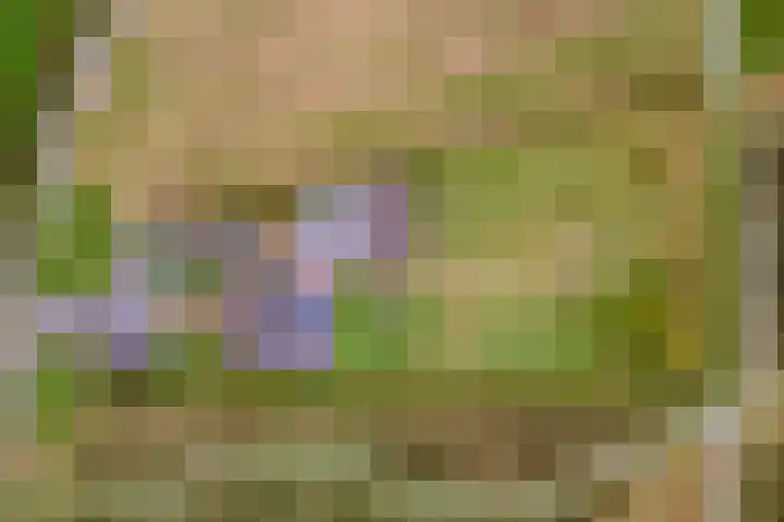 Kruisstraat 3 Tiel thumbnail 54