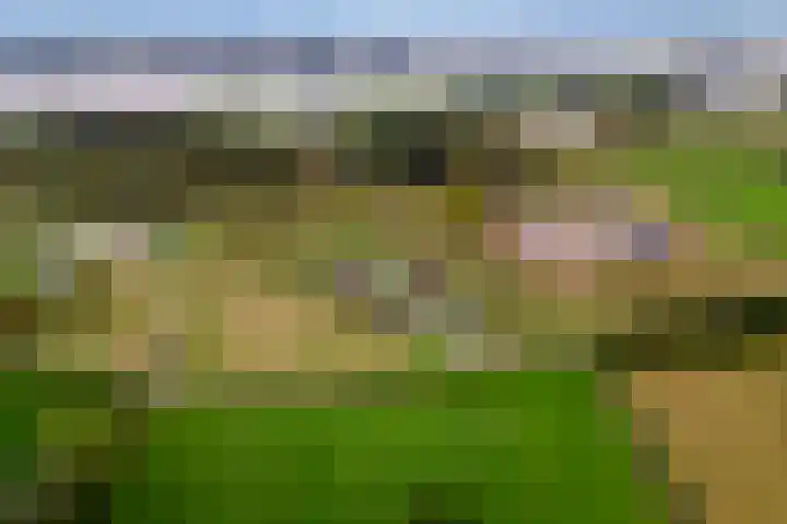 Kruisstraat 3 Tiel thumbnail 55