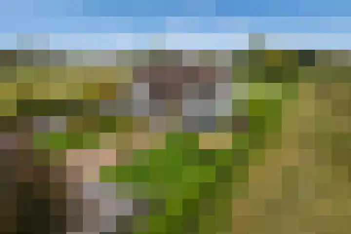 Kruisstraat 3 Tiel thumbnail 6