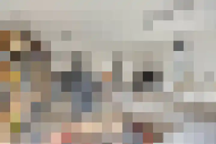 Kruisstraat 31 E Oss thumbnail 10