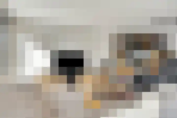 Kruisstraat 31 E Oss thumbnail 12