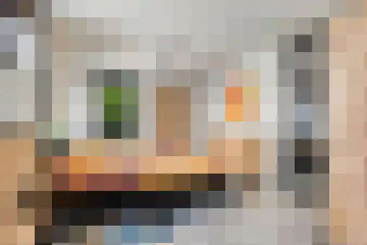 Kruisstraat 31 E Oss thumbnail 23