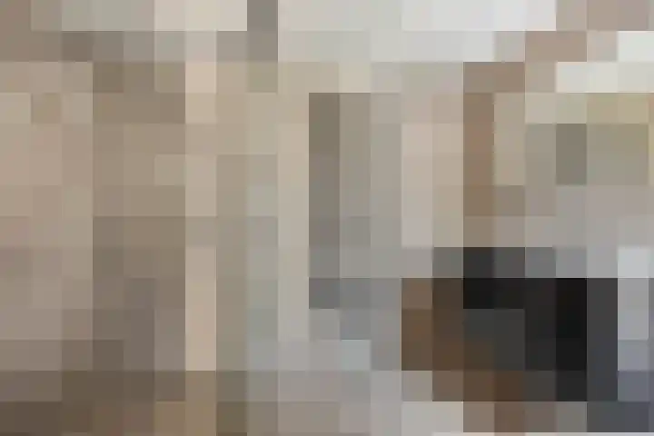 Kruisstraat 31 E Oss thumbnail 24