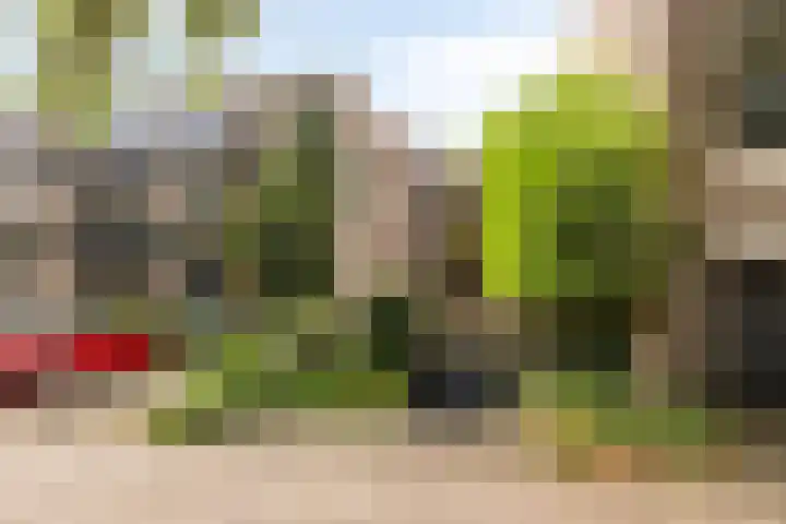 Kruisstraat 31 E Oss thumbnail 31