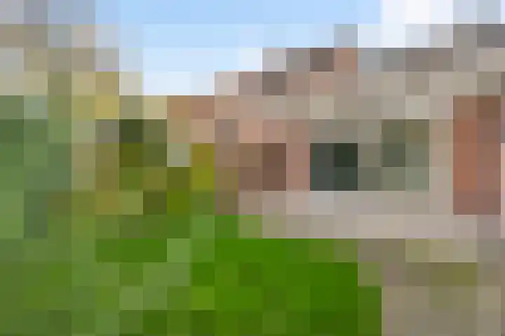 Kruisstraat 32 Stramproy thumbnail 21