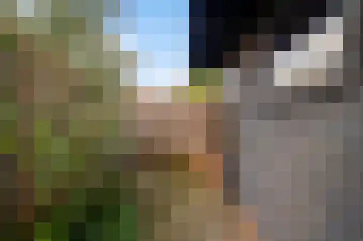 Kruisstraat 32 Stramproy thumbnail 22