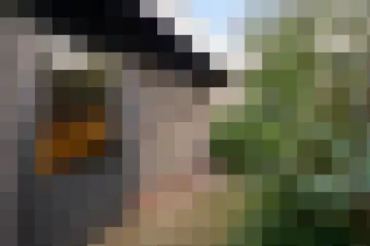 Kruisstraat 32 Stramproy thumbnail 23