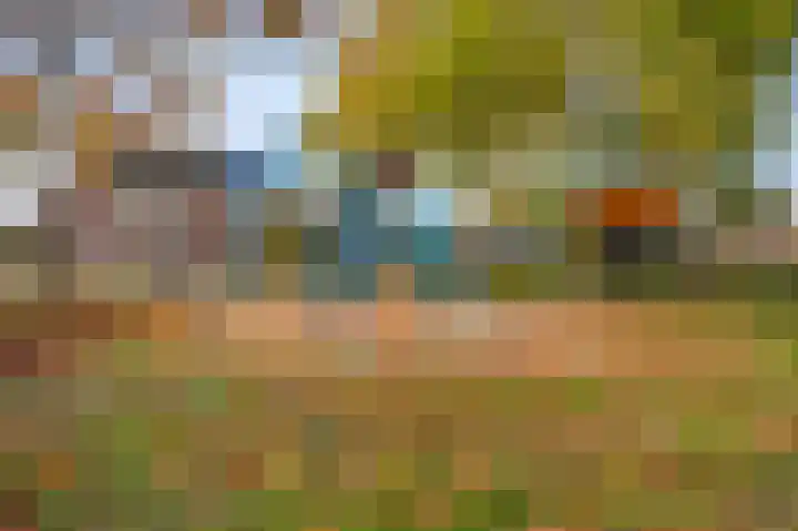 Kruisstraat 32 Stramproy thumbnail 5