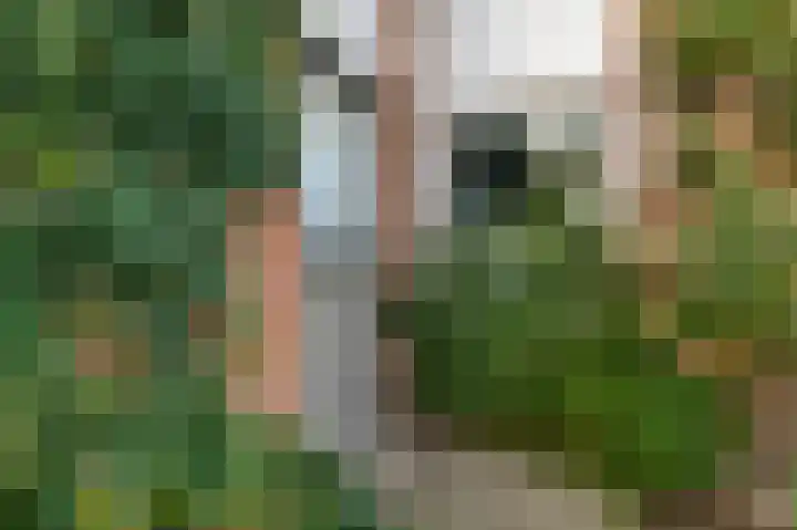 Kruisstraat 32 Stramproy thumbnail 8