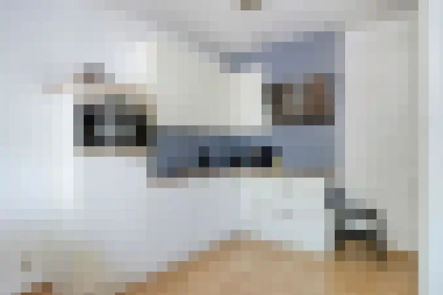 Kruisstraat 33 A Oss thumbnail 19