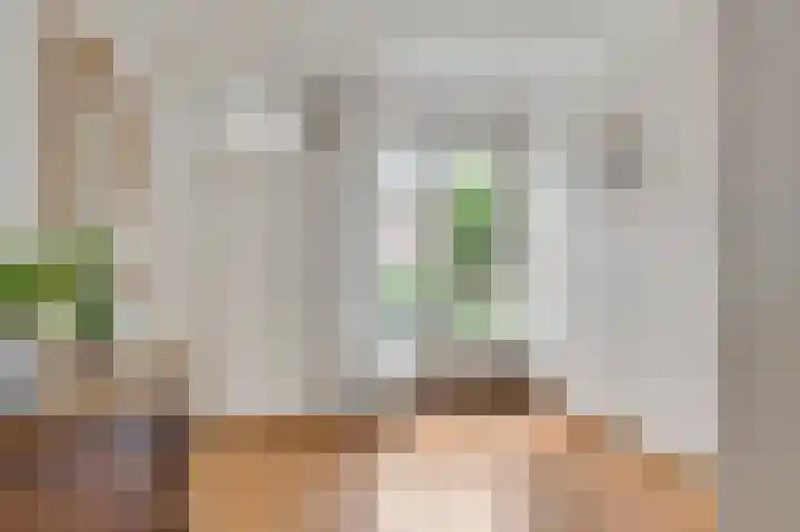 Kruisstraat 34 Stramproy thumbnail 13