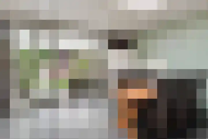 Kruisstraat 34 Stramproy thumbnail 20