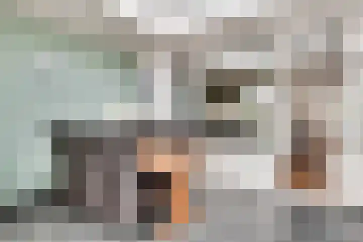 Kruisstraat 34 Stramproy thumbnail 21